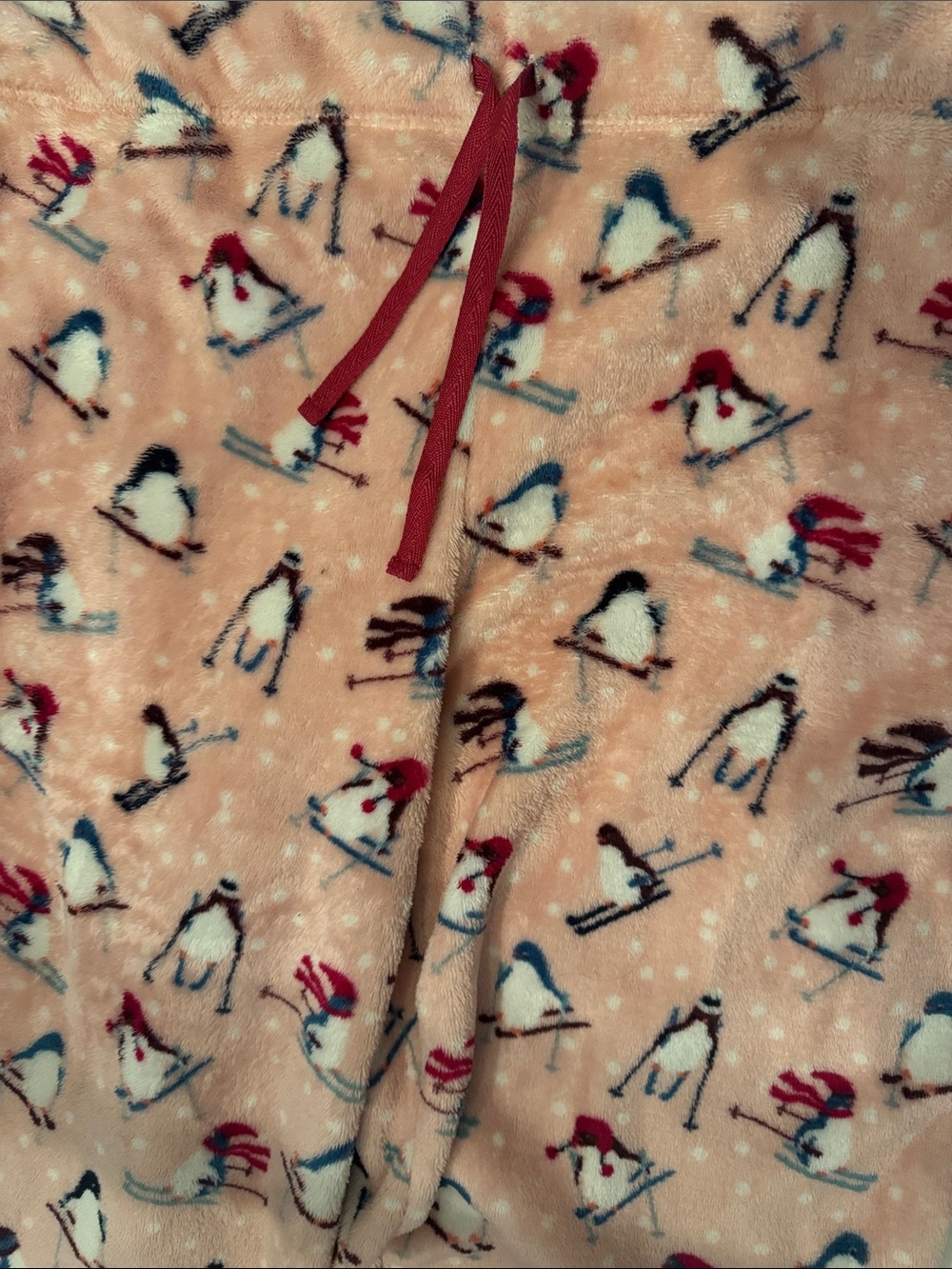 Women's Cozy Penguin Ski Print Pajama Set - Pink